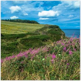 Poszterek 100x100 Virágos rét a tengerparton