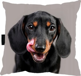 Tacskó Kutyapárna 40x40 Ajándéknak is tökéletes