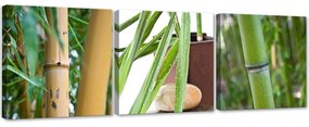 Gario Vászonképek készlet Zen bambuszok - 3 részes Méret: 90 x 30 cm