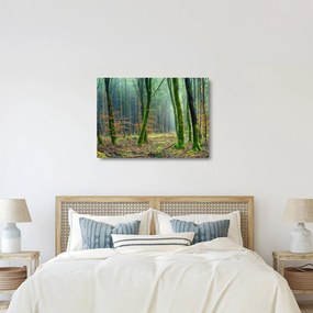 Az erdő képe (üvegen) (70x50 cm)