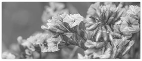 Kép - Szárított virágok (120x50 cm)