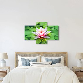 A tavirózsa képe a felszínen (90x60 cm)