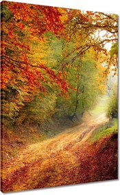 Vászonkép 50x70 Út az erdőben ősz