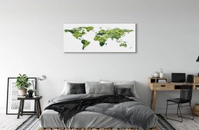 Üvegképek Térkép a zöld fű 120x60cm