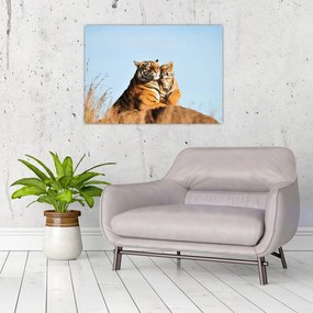 Kép - Tigris és a kölyke (üvegen) (70x50 cm)