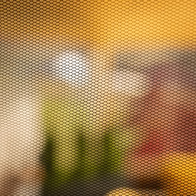 Kerti pavilon sátor, 3,9x2,5x3,9m, bézs/fekete, RINGE TYP 2+6 oldal