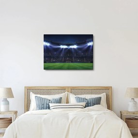 Kép - Labdarúgó stadion (70x50 cm)