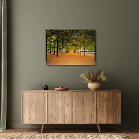 Egy kép az őszi fák sikátorából (üvegen) (70x50 cm)