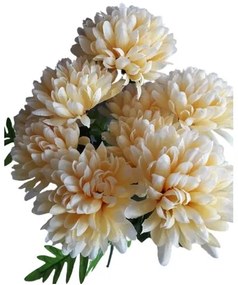 Krizantém Műcsokor, barackszínű, magasság 58 cm