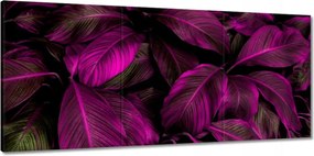 Vászonkép 150x70 Gyönyörű fukszia levelek