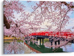 Kép - Hirosaki, Japán (70x50 cm)