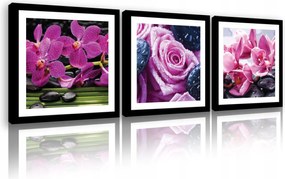 Vászonkép 75x25 Nyugalom pihenés harmónia természet virágok orchidea kövek víz zen