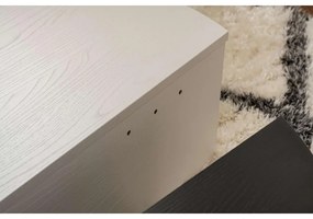 Dohányzóasztal Orion - Wood Fehér, Fekete