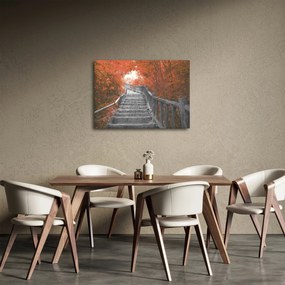 Kép - Lépcsők a természetben, narancssárga (70x50 cm)