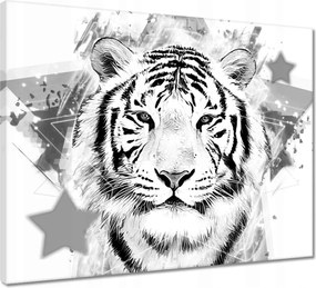 Vászonkép 50x40 Tigris fej grafika