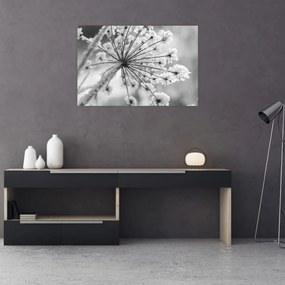 Kép - Virág télen (90x60 cm)