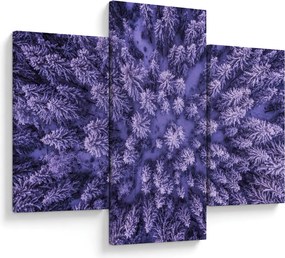 Havas fák képe (90x60 cm)