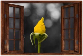 Poszterek 90x60 Sárga rózsa