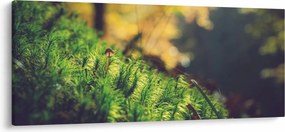 A moha képe gombával (120x50 cm)