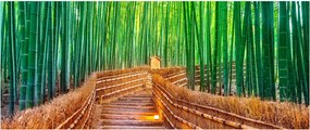 Kép - Japán bambusz erdő (120x50 cm)