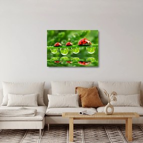 Üveg kép - A hét nap napfénye (70x50 cm)
