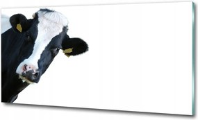 Fotó-kép fotó edzett üveg Tehén 100x70