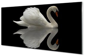 Akrilkép Swan az éjszaka 100x50 cm 2 fogas