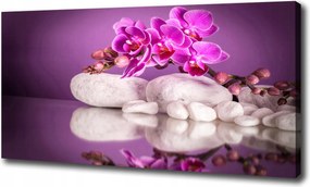 Vászonkép Rózsaszín orchidea 120x60 cm