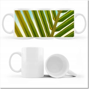 Bögre fényképpel Pálmalevél Levél