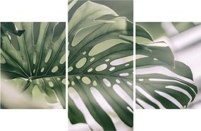 Kép - Szörnyek listája (90x60 cm)