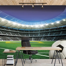 Fotótapéta - Futball (152,5x104 cm)