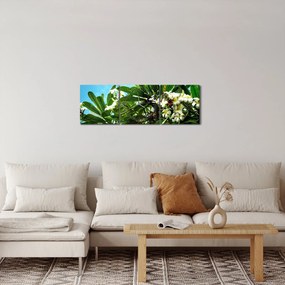Kép - Plumeria (órával) (90x30 cm)