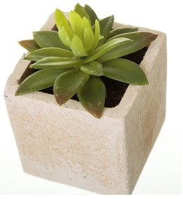 Műnövény szett 6 db-os (magasság 9,5 cm) Cactus – Casa Selección