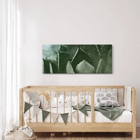 Kép - Zöld agávé (120x50 cm)
