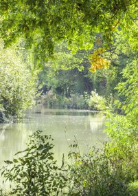 Poszter 21x29,7cm Basingstoke csatorna, Assaf Frank