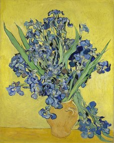 Vincent van Gogh - Festmény reprodukció Irises, 1890, (30 x 40 cm)