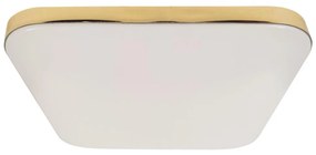 LED Fürdőszobai mennyezeti lámpa NEMO LED/17W/230V IP44 arany