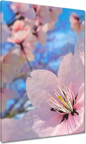 Vászonkép 70x100 Gyönyörű virágok