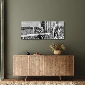 Kép - Utánfutó, fekete-fehér (120x50 cm)