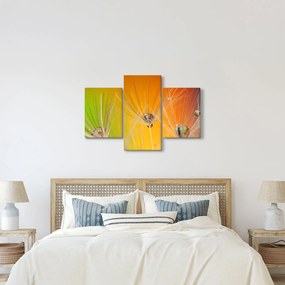 Cseppek a növényen képe (90x60 cm)