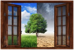 Poszterek 90x60 Esős évszak