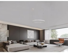 LED dimmelhető csillár zsinóron LED/72W/230V 3000-6500K + távirányítás