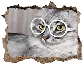 Fali matrica lyuk a falban Cat szemüveg nd-k-115959381