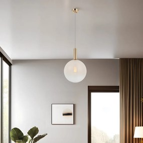 Vanetta - PB1-WT