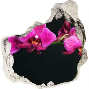 3d-s lyuk vizuális effektusok matrica Orchidea nd-p-64284743