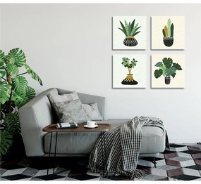 Kép szett 4 db-os 30x30 cm Plants – Wallity