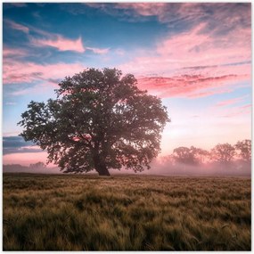 Poszterek 100x100 Candy Landscape