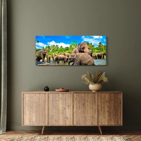 Kép - Elefántok, Sri Lanka (120x50 cm)
