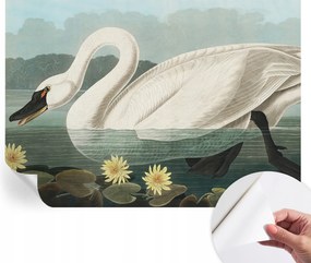 Dekoratív öntapadós fotótapéta Hálószobába Hattyú és nenufary 312x219