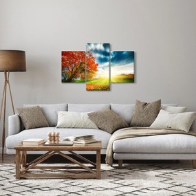 Napsütésben fürdő táj képe (90x60 cm)
